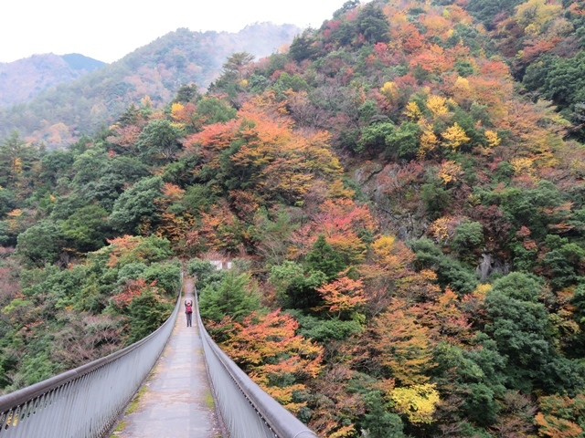 f0357487_20091552.jpg