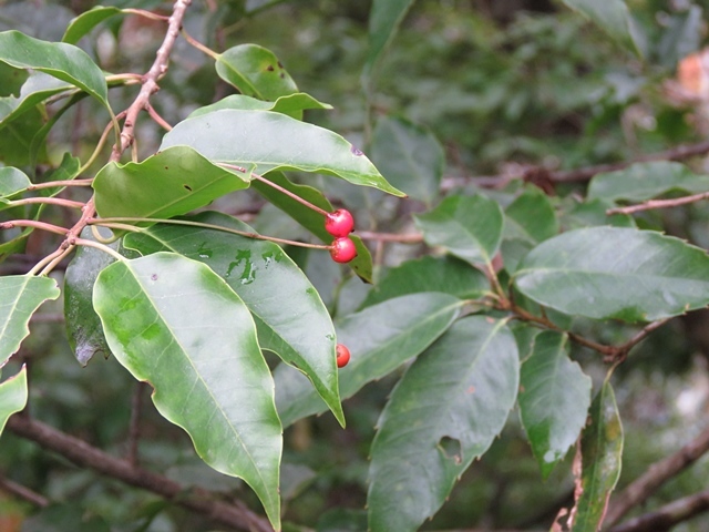f0357487_20223950.jpg