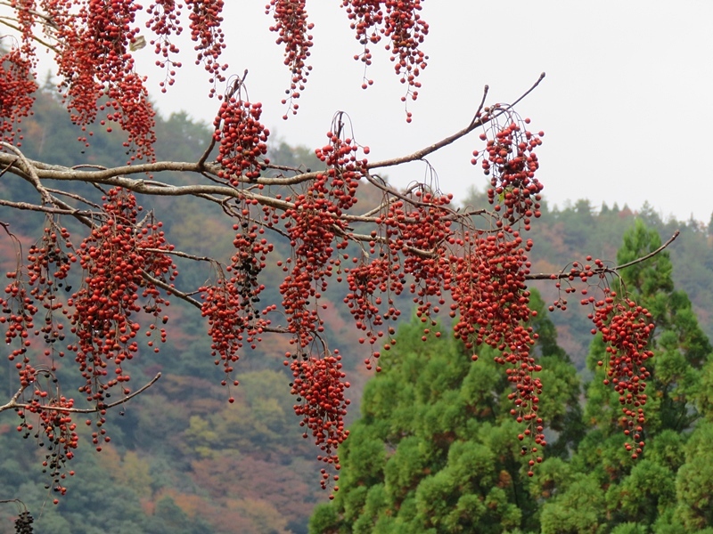 f0357487_20301689.jpg