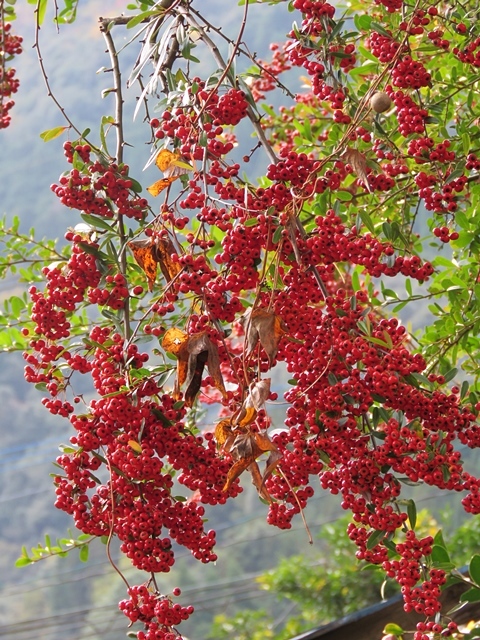 f0357487_20335044.jpg