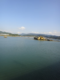 ねんきんQuiz-第477問(関連するもの)_d0132289_21154159.jpg