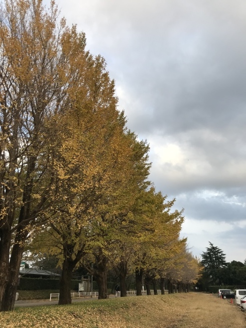 a0027290_17152617.jpeg