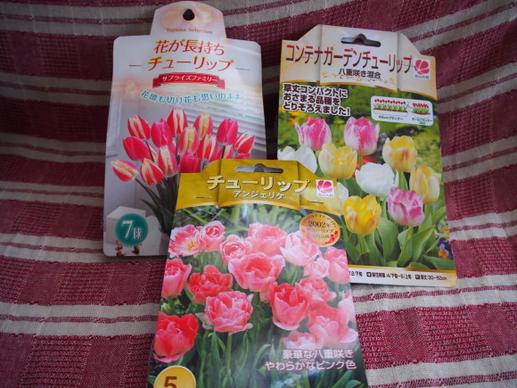 c0191390_13444900.jpg