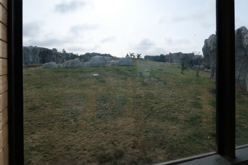 f0297893_15585600.jpg