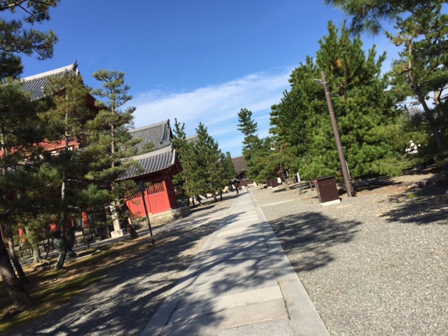 大山崎山荘美術館と妙心寺_c0216197_0111553.jpg