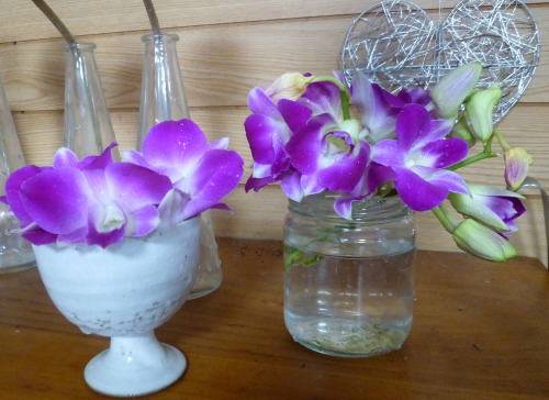 紫色の花と好きな物 Happy World By Yoshiko