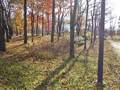 c0336902_17304697.jpg