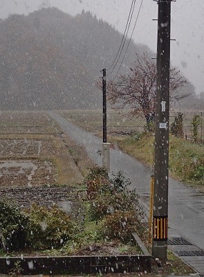 やば! 初雪です_c0336902_18490398.jpg