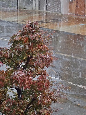 やば! 初雪です_c0336902_18492019.jpg