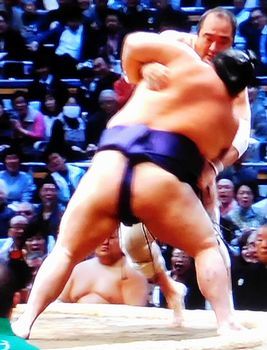 安美錦　九州場所　五日目_b0044404_20111149.jpg