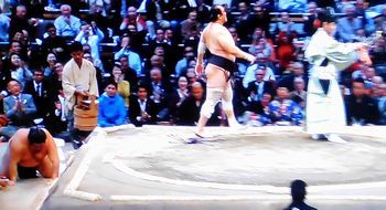 安美錦　九州場所　五日目_b0044404_20115087.jpg