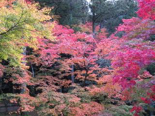 秋色、今熊野観音寺_b0039007_10063336.jpg