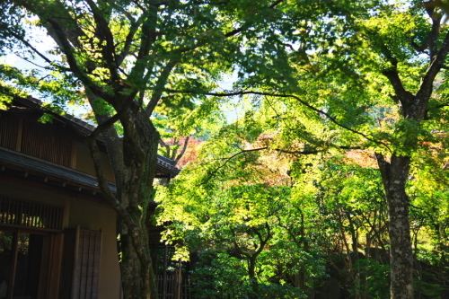 a0263109_18491163.jpg
