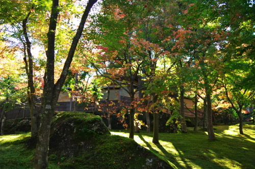 a0263109_18491559.jpg