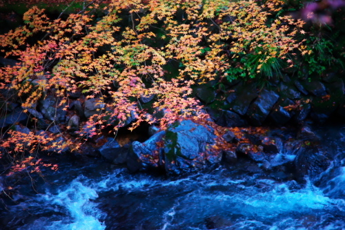 佐野市　作原の蓬莱山の紅葉2_a0263109_21275701.jpg