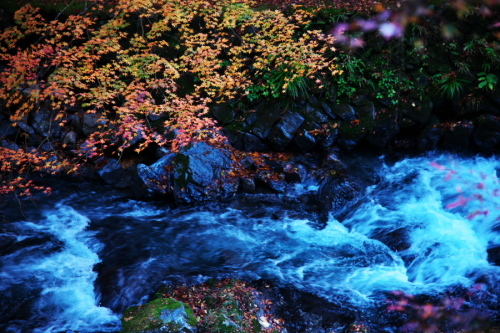 佐野市　作原の蓬莱山の紅葉2_a0263109_21275720.jpg