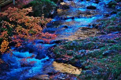 佐野市　作原の蓬莱山の紅葉2_a0263109_21280074.jpg