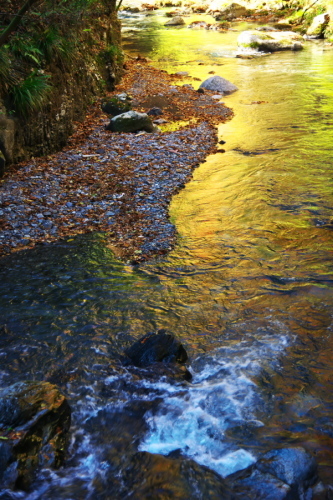 a0263109_21283417.jpg