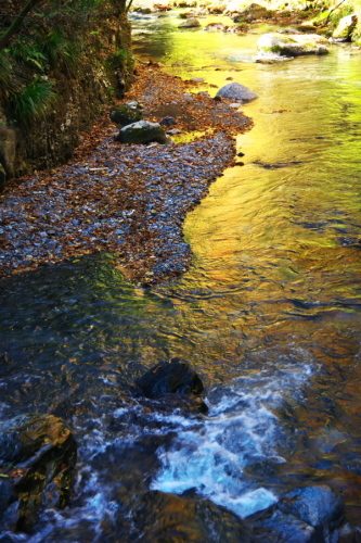 佐野市　作原の蓬莱山の紅葉2_a0263109_21283417.jpg