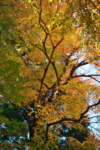 a0263109_21301941.jpg