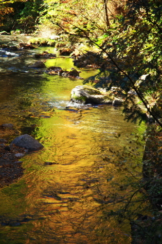 a0263109_21302040.jpg