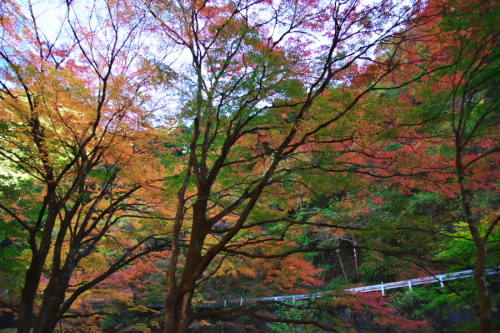a0263109_21302179.jpg