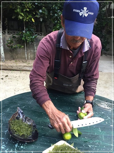 うそっ⁉正真正銘「採りたて海ぶどうをそのまま食べれちゃった！」の巻き　～沖縄旅行～_b0289710_11093312.jpg