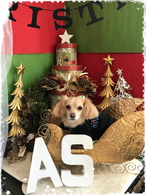中目黒 クリスマス まめつぶ