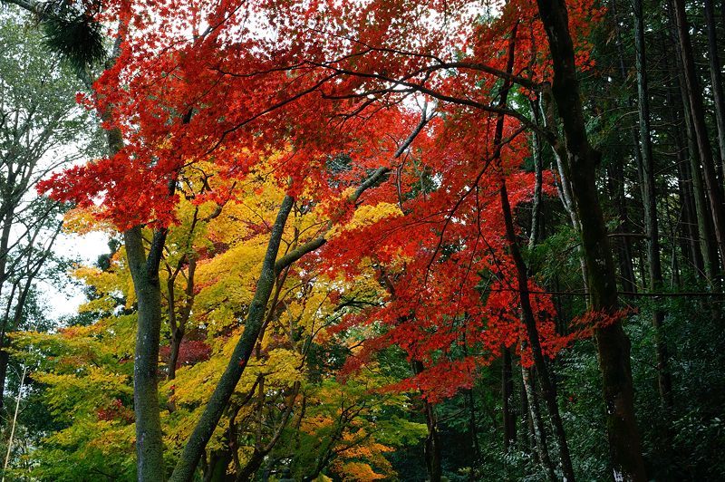 f0032011_21233010.jpg