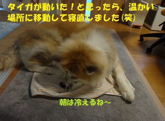 f0121712_09005588.jpg
