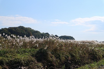 e0373815_12111429.jpg