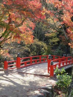 f0111015_13550511.jpg