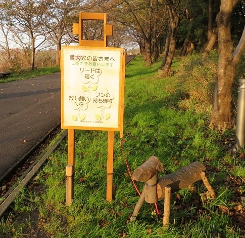 c0084117_20072849.jpg