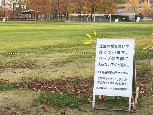 c0084117_20091838.jpg