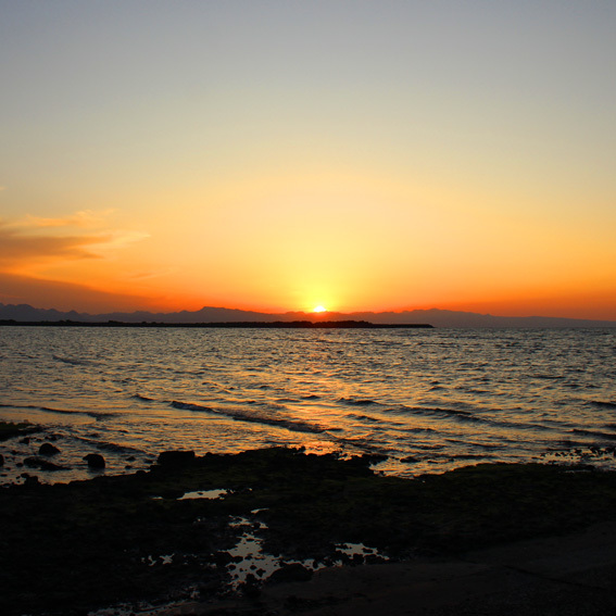 a0329820_23061108.jpg