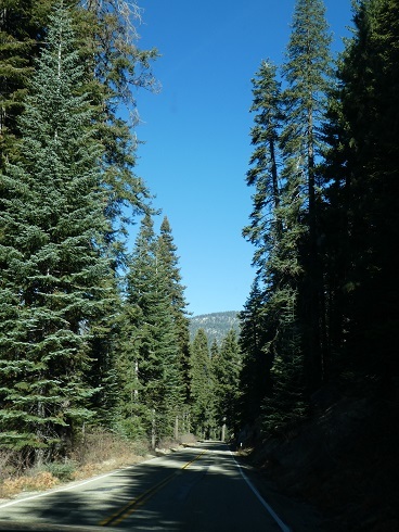 b0368324_05101219.jpg