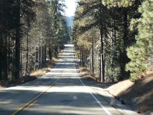 b0368324_05152877.jpg