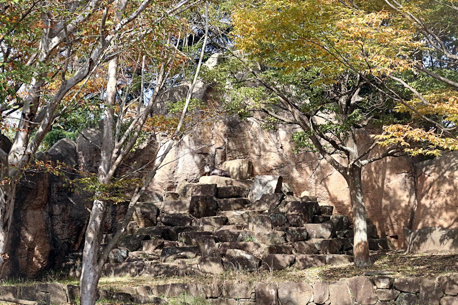 f0224624_21532435.jpg