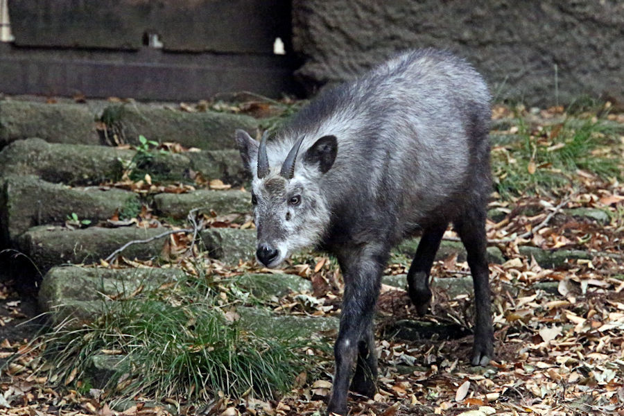f0224624_21540633.jpg