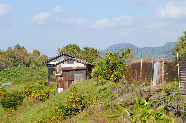 淡彩風景画講座・11月のテーマ「山里を描く」ご紹介_b0212226_10430747.jpg