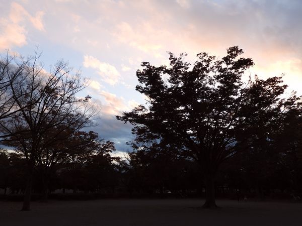 a0354432_17504875.jpg