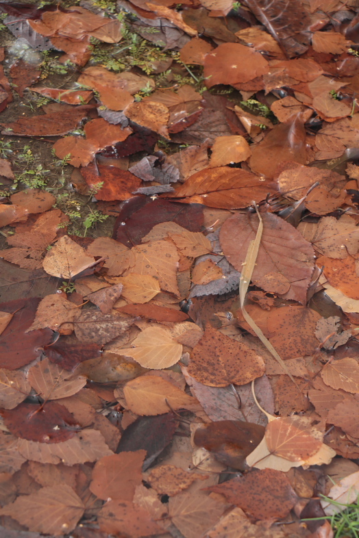 f0009433_23345701.jpg