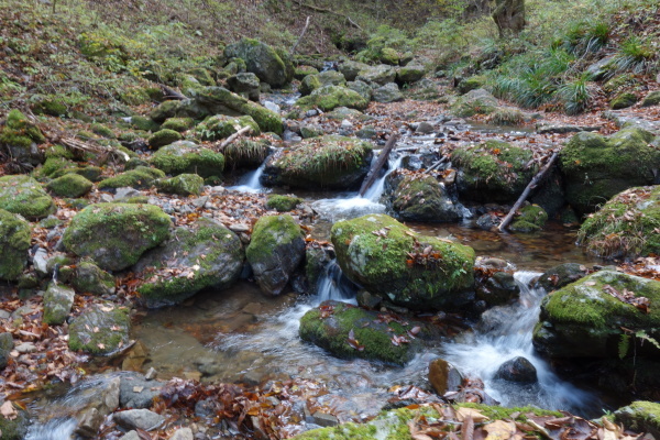 秋の一日、御岳山へ。_a0138134_09105457.jpg