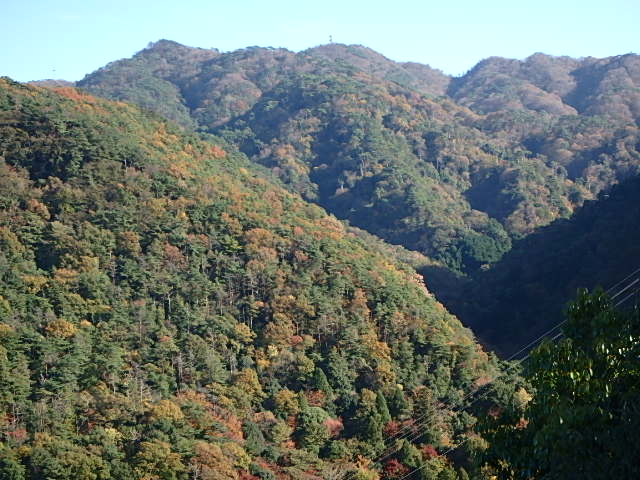 f0334143_7493059.jpg