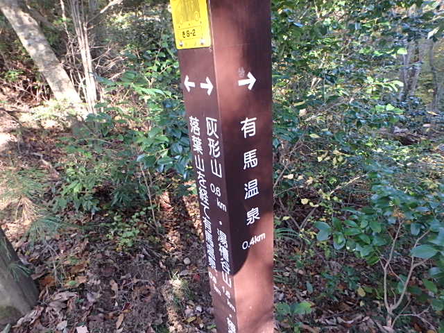 f0334143_7495381.jpg