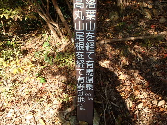 f0334143_755369.jpg
