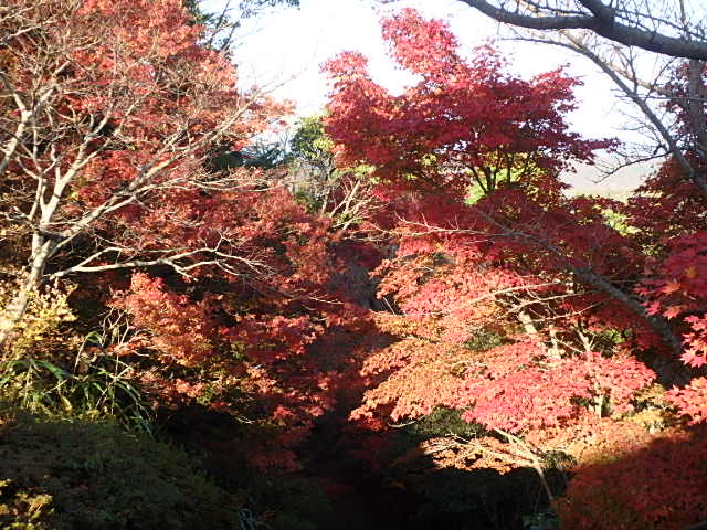f0334143_7581147.jpg