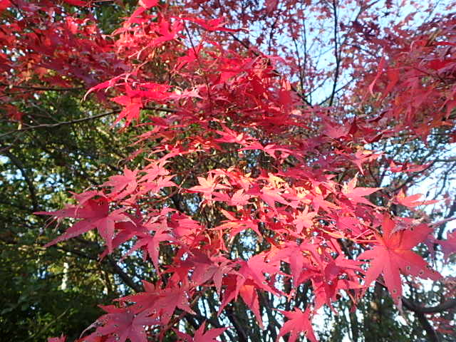 f0334143_759869.jpg