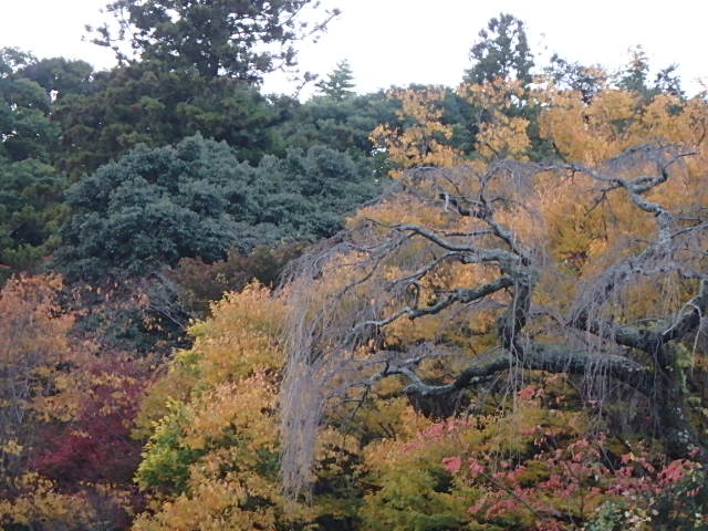 f0334143_802972.jpg