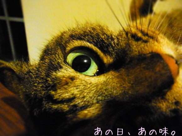 a0305046_08363002.jpg
